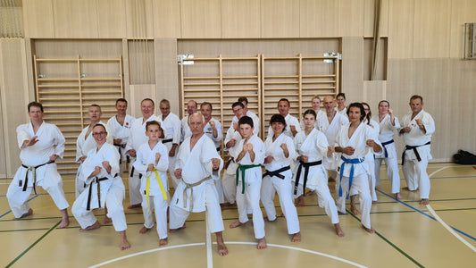 02-03 septembre 2023 - Stage Sensei Lavorato à Genève et à Yverdon.