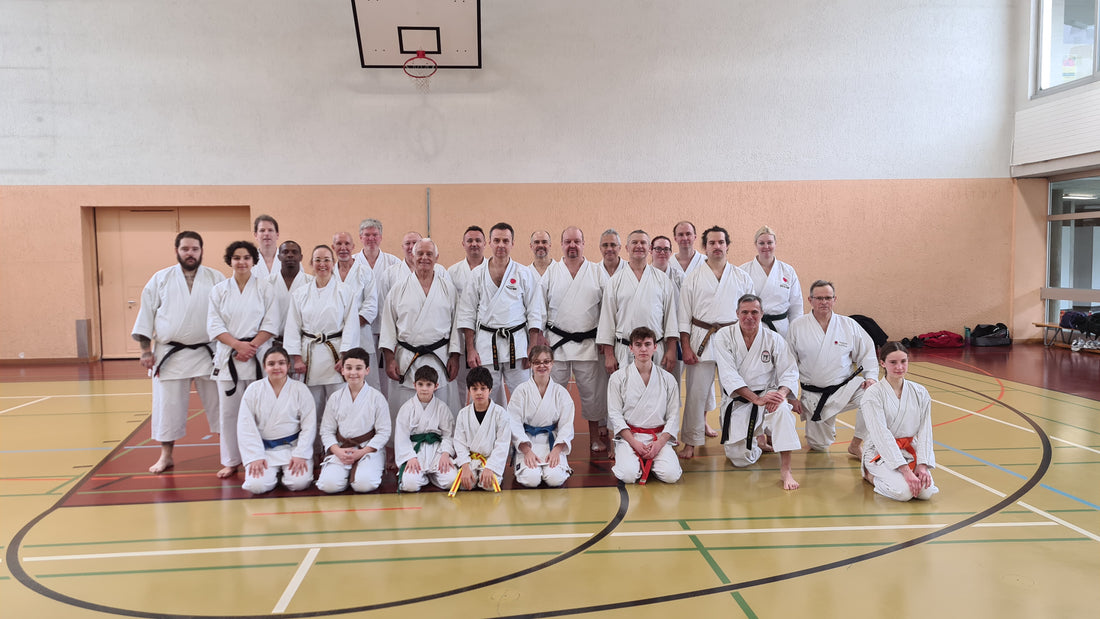 14 janvier 2024 - Stage Sensei Lavorato à Genève-Vernier.