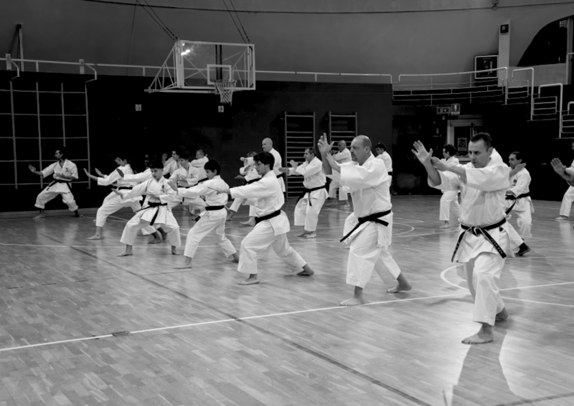 KARATE EDUCATIF : CONCENTRATION & DISCIPLINE (5-15ans)