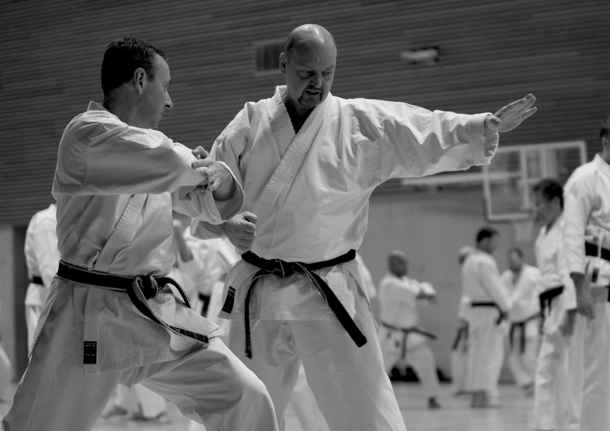 SELF DEFENSE & KARATE PRATIQUE