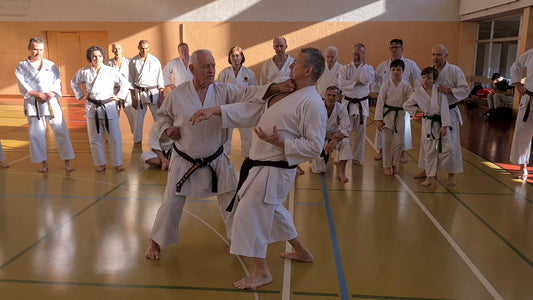 12 janvier 2025 - Stage Sensei Lavorato à Genève.
