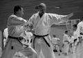 SELF DEFENSE